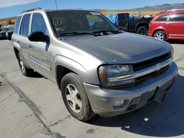 CHEVROLET TRAILBLAZE 2002 with VIN 1GNDT13S422191755 - Photo from auction