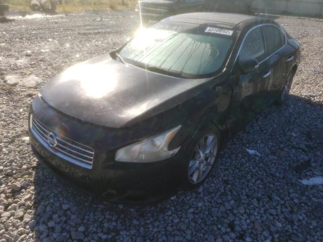 Photo 2 from auction – 2010 NISSAN MAXIMA S with VIN 1N4AA5AP3AC851077