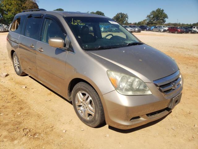 HONDA ODYSSEY EX 2005 with VIN 5FNRL38615B417595 - Photo from auction