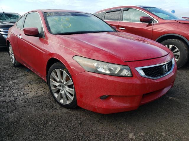 HONDA ACCORD EXL 2010 with VIN 1HGCS2B81AA005324 - Photo from auction