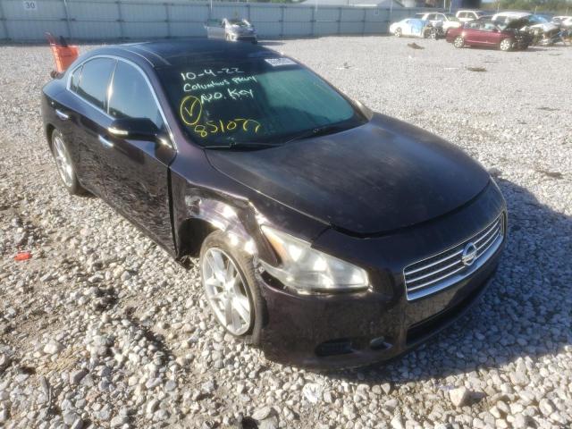 NISSAN MAXIMA S 2010 with VIN 1N4AA5AP3AC851077 - Photo from auction
