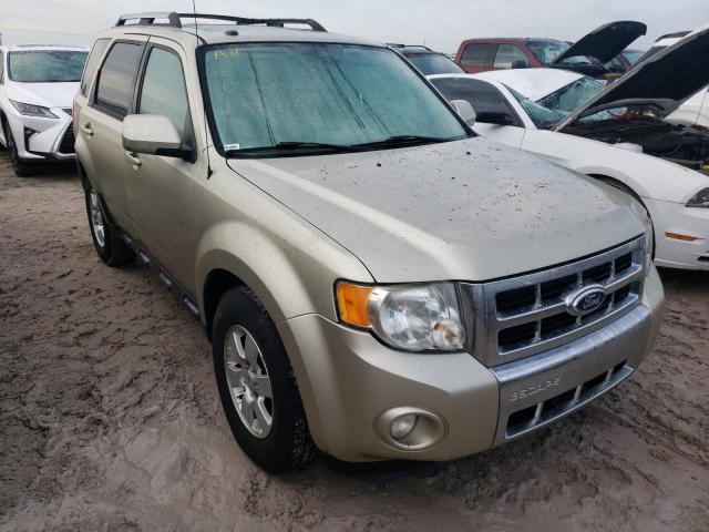 FORD ESCAPE LIM 2010 with VIN 1FMCU0EGXAKB02852 - Photo from auction
