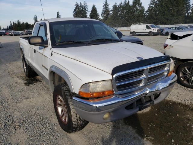 DODGE DAKOTA 2001 with VIN 1B7GG22N51S129601 - Photo from auction
