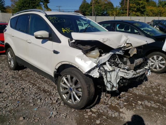 FORD ESCAPE TIT 2017 with VIN 1FMCU0JD3HUD81099 - Photo from auction