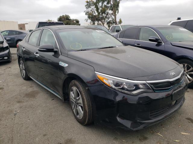 KIA OPTIMA PLU 2017 with VIN KNAGV4LD4H5013156 - Photo from auction