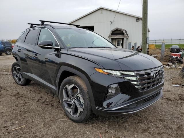 HYUNDAI TUCSON LIM 2022 with VIN KM8JECA13NU078895 - Photo from auction