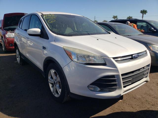 FORD ESCAPE SE 2014 with VIN 1FMCU0G99EUB71041 - Photo from auction