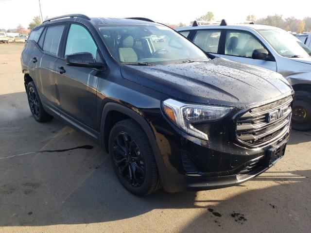 GMC TERRAIN SL 2020 with VIN 3GKALTEV2LL345382 - Photo from auction
