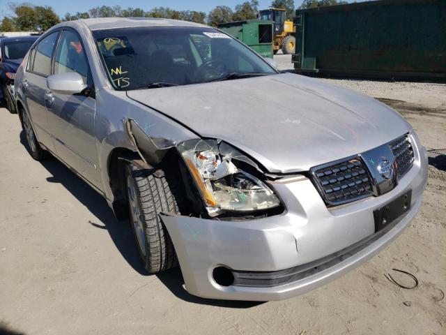 NISSAN MAXIMA SE 2005 with VIN 1N4BA41E05C831680 - Photo from auction