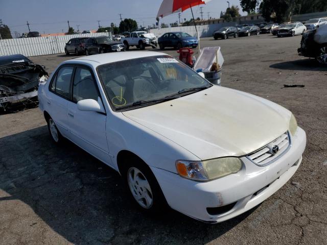 TOYOTA COROLLA CE 2002 with VIN 1NXBR12E42Z572239 - Photo from auction
