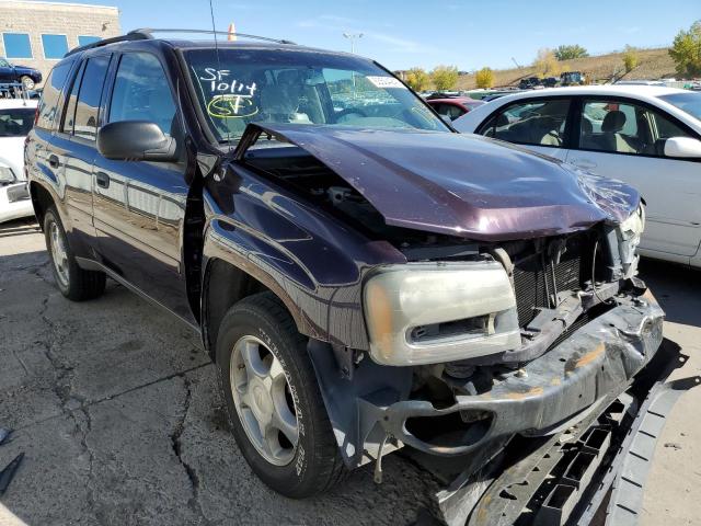 CHEVROLET TRAILBLAZE 2008 with VIN 1GNDT13SX82196483 - Photo from auction