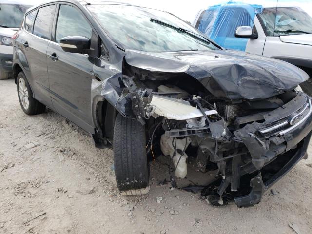 FORD ESCAPE SEL 2013 with VIN 1FMCU0HXXDUC47376 - Photo from auction