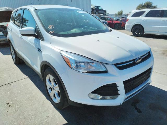 Photo 1 from auction – 2014 FORD ESCAPE SE with VIN 1FMCU0GXXEUA63140