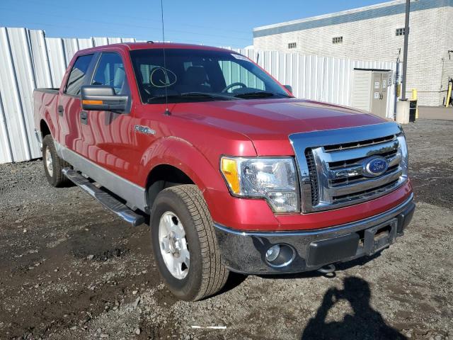 FORD F150 SUPER 2010 with VIN 1FTEW1E83AFA48910 - Photo from auction