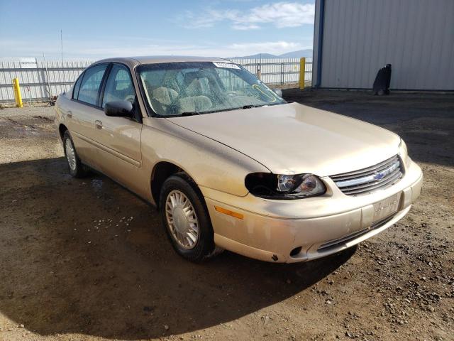 CHEVROLET MALIBU 2003 with VIN 1G1ND52J33M704342 - Photo from auction