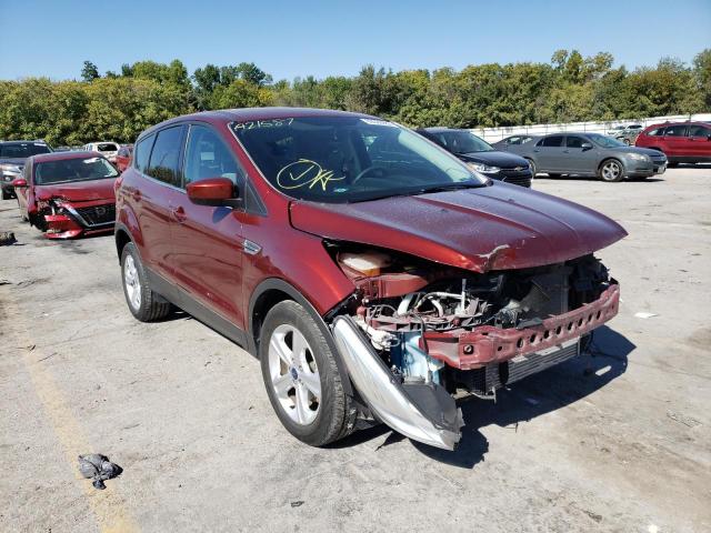 FORD ESCAPE SE 2014 with VIN 1FMCU0GX7EUA21587 - Photo from auction