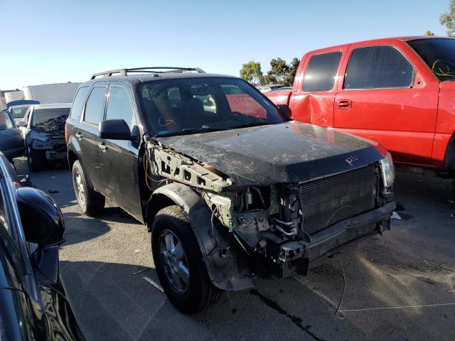 FORD ESCAPE XLT 2009 with VIN 1FMCU03749KB94121 - Photo from auction