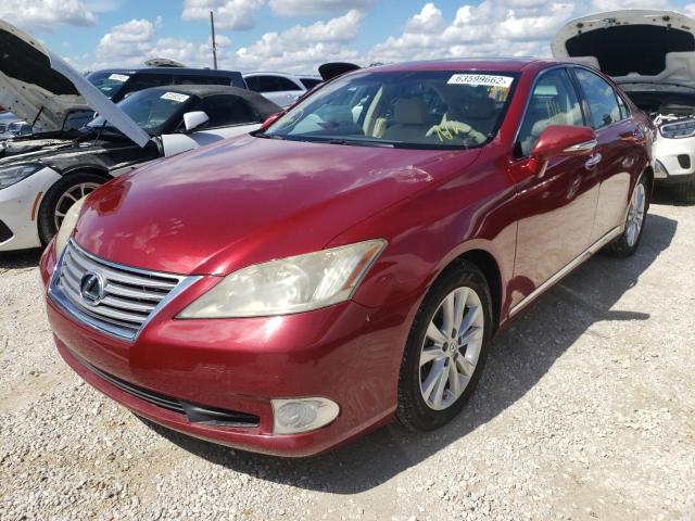 Photo 2 from auction – 2010 LEXUS ES 350 with VIN JTHBK1EG0A2383764