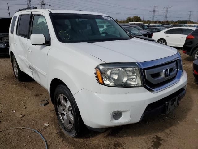 HONDA PILOT EXL 2009 with VIN 5FNYF48669B011052 - Photo from auction