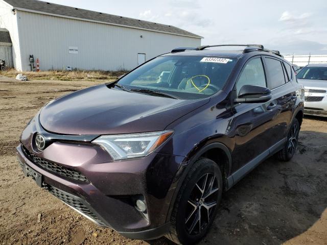 Photo 2 from auction – 2017 TOYOTA RAV4 SE with VIN 2T3JFREV5HW653426