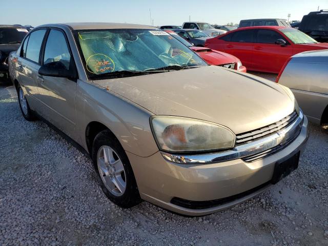 Photo 1 from auction – 2004 CHEVROLET MALIBU LS with VIN 1G1ZT54824F154362