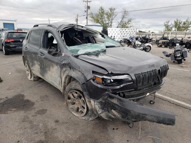 JEEP CHEROKEE T 2019 with VIN 1C4PJMBX5KD163056 - Photo from auction