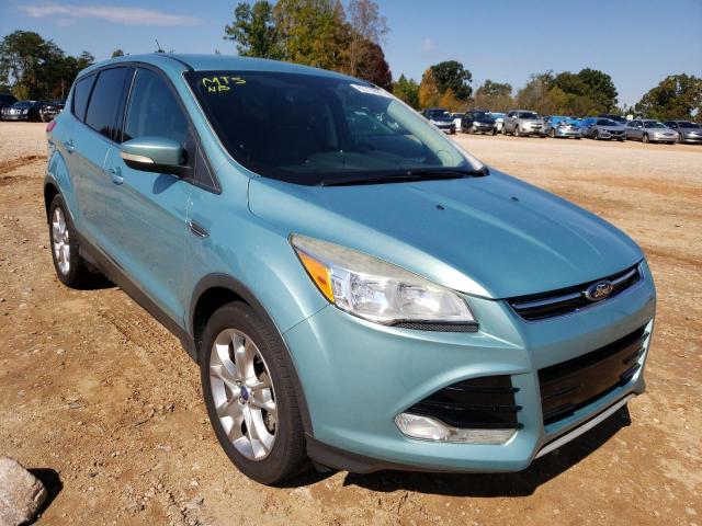 FORD ESCAPE SEL 2013 with VIN 1FMCU0HX2DUA88014 - Photo from auction