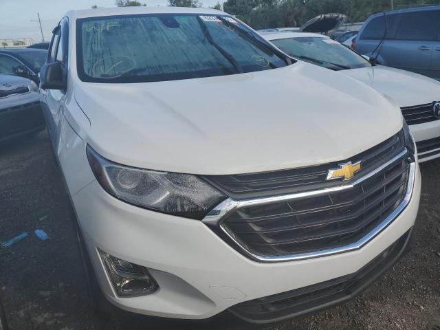 CHEVROLET EQUINOX LS 2021 with VIN 3GNAXHEV2MS172040 - Photo from auction