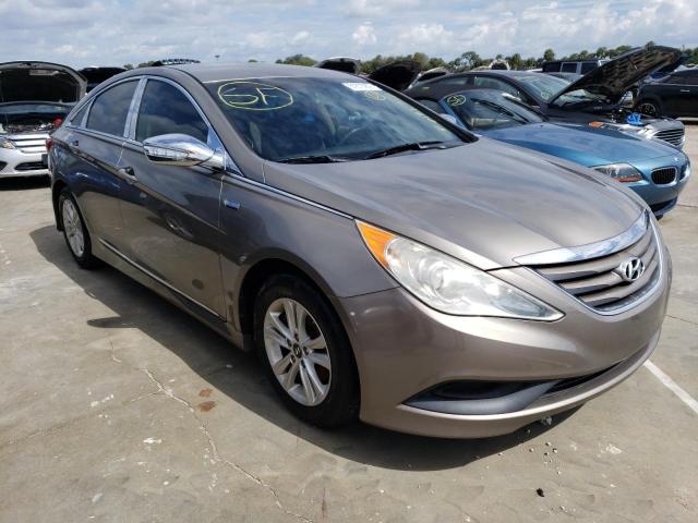 HYUNDAI SONATA GLS 2014 with VIN 5NPEB4AC8EH906570 - Photo from auction
