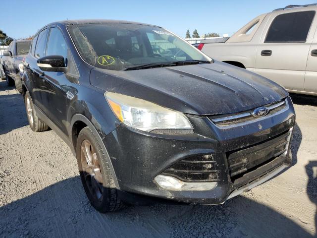 FORD ESCAPE SEL 2013 with VIN 1FMCU0HX8DUB02790 - Photo from auction