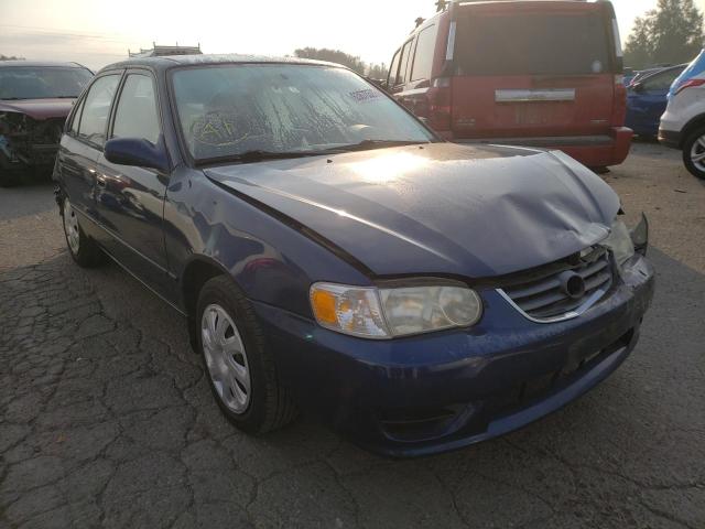 TOYOTA COROLLA CE 2002 with VIN 1NXBR12E82Z571322 - Photo from auction
