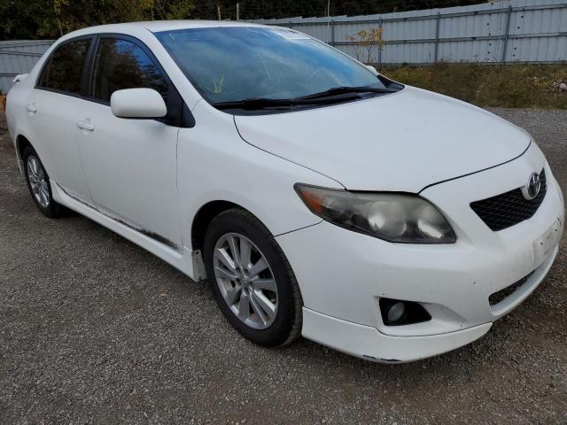 TOYOTA COROLLA BA 2010 with VIN 2T1BU4EE9AC284034 - Photo from auction