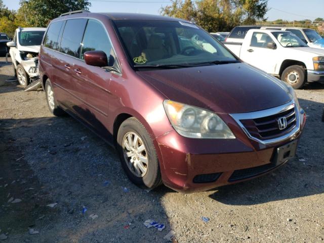 HONDA ODYSSEY EX 2008 with VIN 5FNRL38488B042081 - Photo from auction
