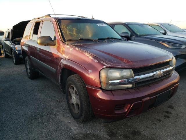 CHEVROLET TRAILBLAZE 2005 with VIN 1GNDT13S752139198 - Photo from auction