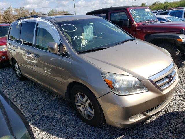 Photo 1 from auction – 2005 HONDA ODYSSEY EX with VIN 5FNRL38775B066541