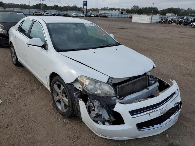 CHEVROLET MALIBU 1LT 2011 with VIN 1G1ZC5EU6BF161159 - Photo from auction