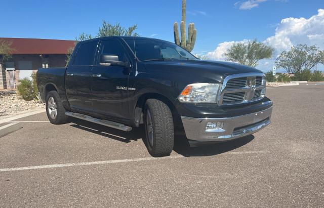 DODGE RAM 1500 2010 with VIN 1D7RB1CT2AS138891 - Photo from auction