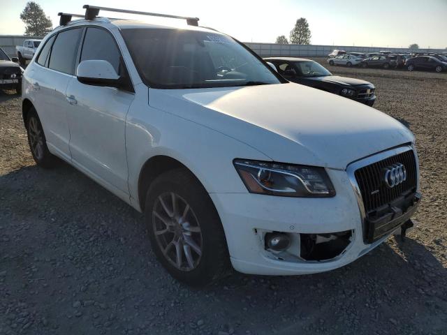 AUDI Q5 PREMIUM 2010 with VIN WA1LKAFP2AA007989 - Photo from auction