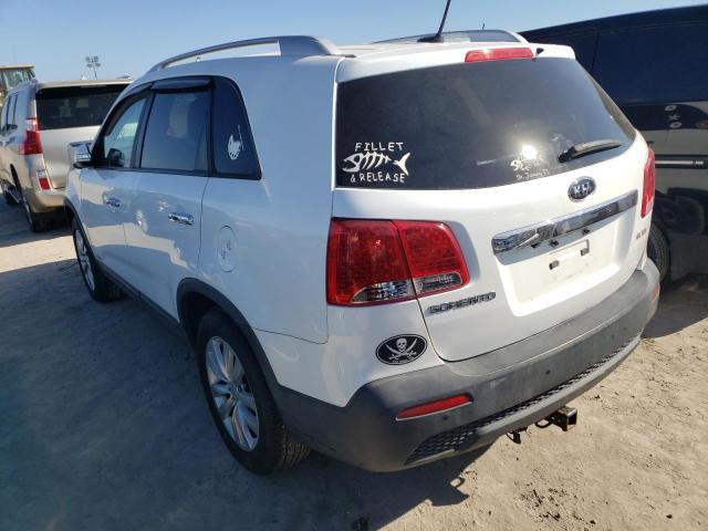 Photo 3 from auction – 2011 KIA SORENTO BA with VIN 5XYKTDA22BG077926