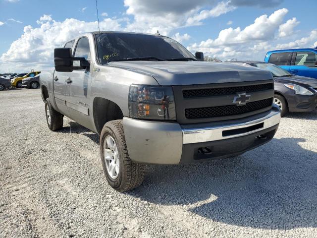 CHEVROLET SILVERADO 2009 with VIN 2GCFC135491109304 - Photo from auction