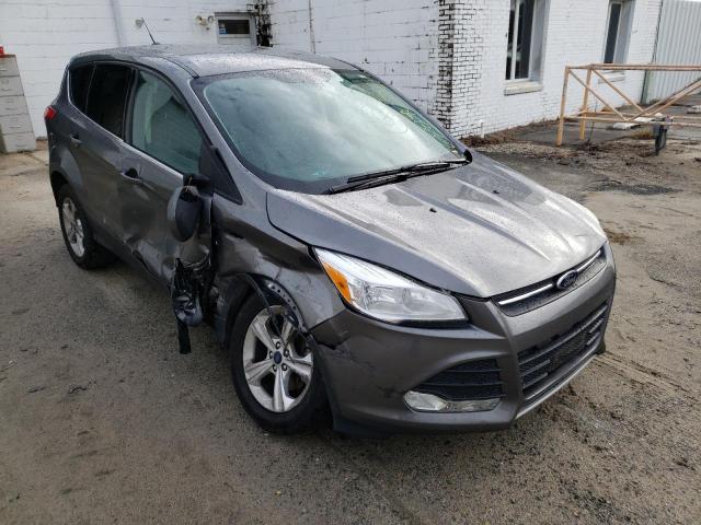 FORD ESCAPE SE 2014 with VIN 1FMCU0GX8EUC17280 - Photo from auction