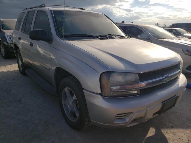 CHEVROLET TRAILBLAZE 2008 with VIN 1GNDT13S182220041 - Photo from auction