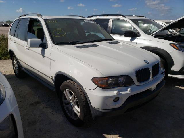BMW X5 3.0I 2005 with VIN 5UXFA13505LY07238 - Photo from auction