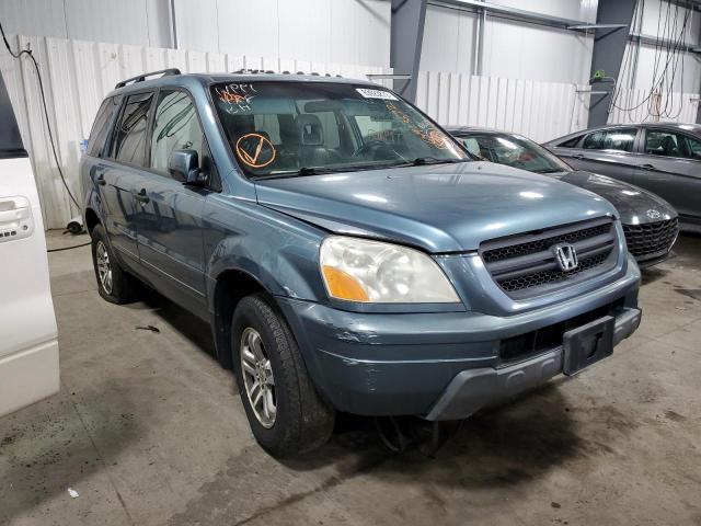HONDA PILOT EXL 2005 with VIN 5FNYF186X5B067679 - Photo from auction