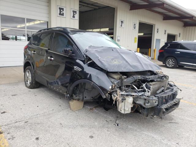 FORD ESCAPE SE 2013 with VIN 1FMCU0GX7DUA31308 - Photo from auction