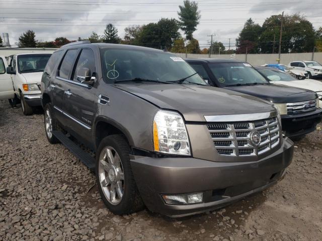 CADILLAC ESCALADE P 2011 с VIN 1GYS4CEF5BR267140 - Фото с аукциона