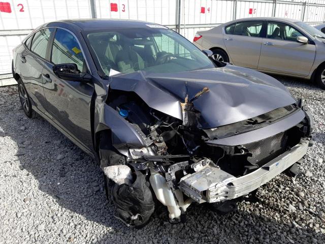 HONDA CIVIC LX 2019 with VIN 2HGFC2F64KH563206 - Photo from auction
