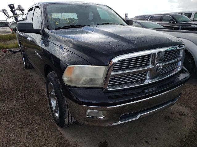DODGE RAM 1500 2009 with VIN 1D3HB13T29J514715 - Photo from auction