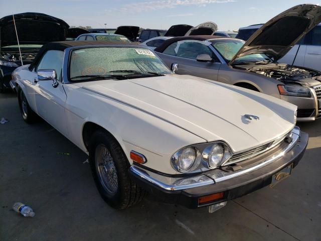 صورة رقم 1 من المزاد - 1990 JAGUAR XJS CLASSI مع VIN SAJTW484XLC176052