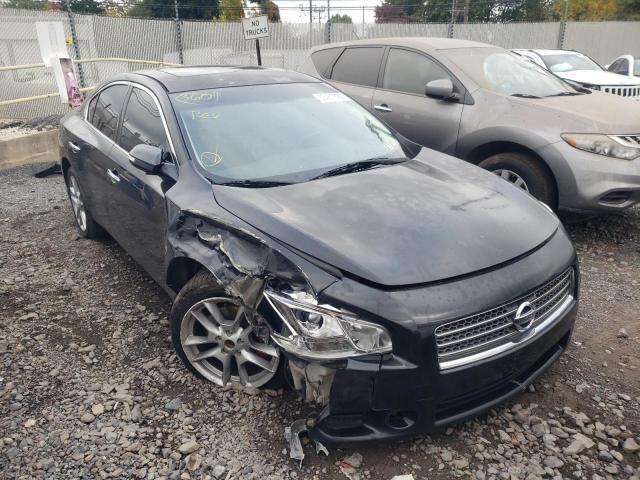 NISSAN MAXIMA S 2010 с VIN 1N4AA5AP3AC833534 - Фото с аукциона